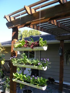 vertical gardening solution