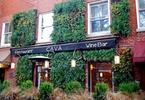 new england's first living wall with native plants