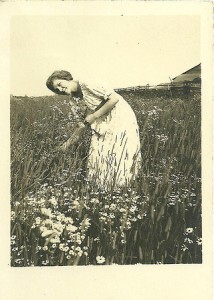 vintage photo early-20th century, woman picks flowers in meadow for summer solstice