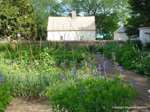 Upper Garden