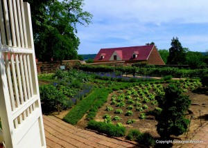 mount vernon lower garden