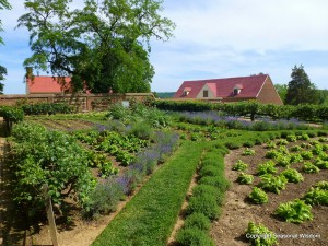 lower garden at mount vernon