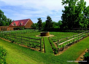 george washington garden