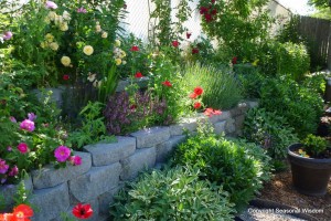 Post image for Creating a Cottage Garden