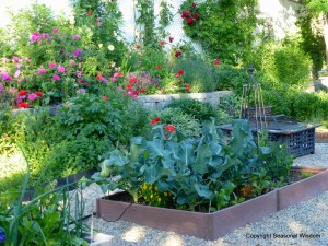 charming cottage garden