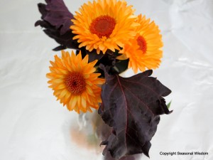 herbs and edible flowers