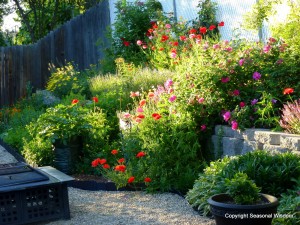 cottage garden