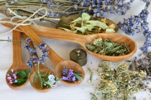 dried flowers and leaves