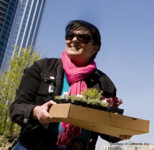 Chicago Victory Garden Revival Effort