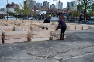 building a community garden with raised beds