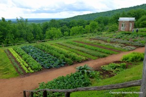 historic vegetable garden