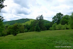 virginia landscape