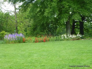 perennials at thomas jefferson's home