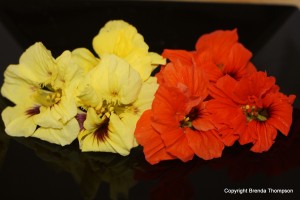 nasturtiums are edible