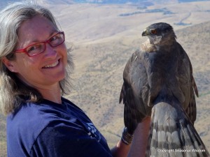 Idaho bird observatory