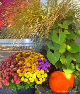 fall flowers in earth tones