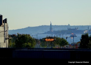 view from the high line