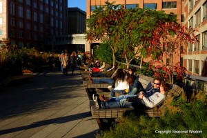 new york city garden