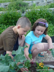 kids-gardening