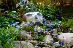 rock-garden with rare plants and a wild look inspired by the movie, Raiders of the Lost Ark