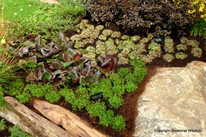 Plants snuggle among boulders at 2013 northwest flower and garden show