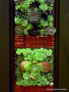 northwest flower and garden show