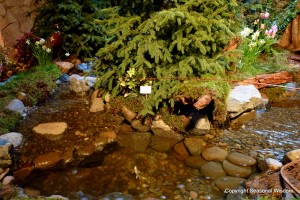 naturalistic garden with small river