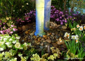 narcissus, helleborus near bottom of water columns