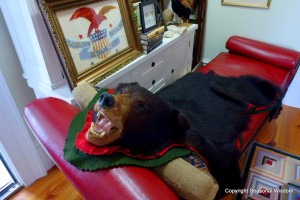 A bear rug at P. Allen Smith's home.