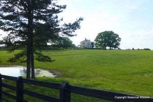 P. Allen Smith's Moss Mountain Farm House from a distance.