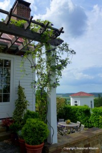 White outer buildings and purple wisteria in the backyard of P. Allen Smith's garden.