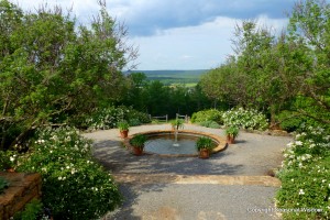 Water fountain and white roses in P. Allen Smith's garden