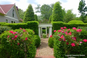 Post image for Take a Tour of P. Allen Smith’s Garden