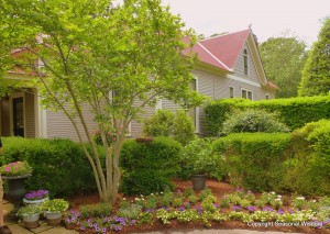 P. Allen Smith's garden on side of house.