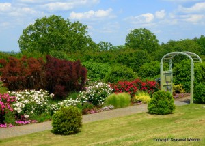 In early-May, P. Allen Smith's garden is alive with different colored flowers.