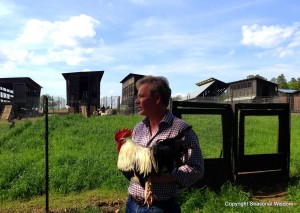 P. Allen Smith holds a rooster at Moss Mountain Farm.