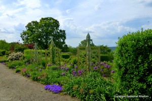 Wooden trellises and ornamental alliums in P. Allen Smith's garden.