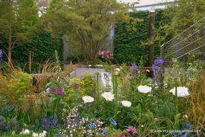 Naturalistic garden at 2013 Chelsea Flower Show