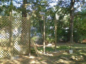 Installing several lattice trellis to the garden