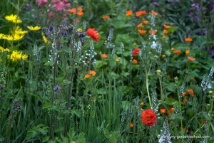 Wildflowers grow at 2013 Chelsea Flower show