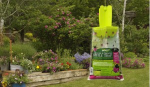 RESCUE Japanese and oriental beetle trap is a prize in mid-summer garden giveaway