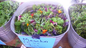 Edible flowers come pre-mixed in salads too.