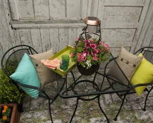 Post image for Enter to Win a Mid-Summer Garden Giveaway!