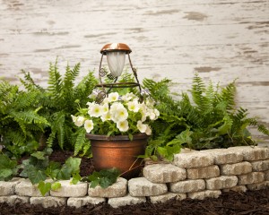 Mid-summer garden giveaway includes a SolaRadiance planter.