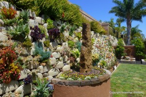 More than 150 succulents grow on this vertical succulent garden