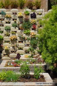 Vertical succulent garden in ventura, california