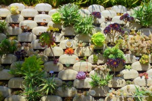 Post image for Vertical Succulent Garden Saves Space, Looks Great