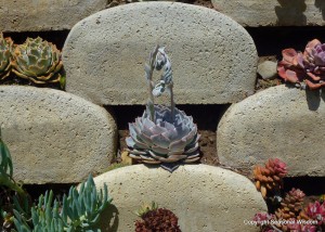 Several different succulents are grown together in this vertical succulent garden