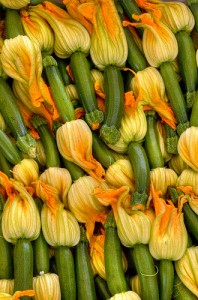 Zucchinis with edible flowers by clayirving