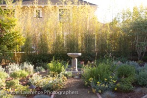 This herb garden was designed by billy goodnick.